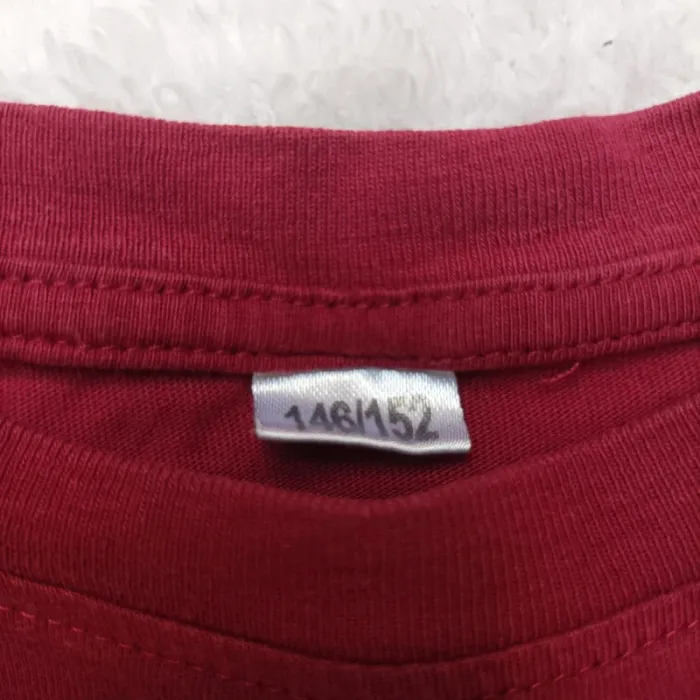 Lot 4 manches longues 10 ans - photo numéro 7