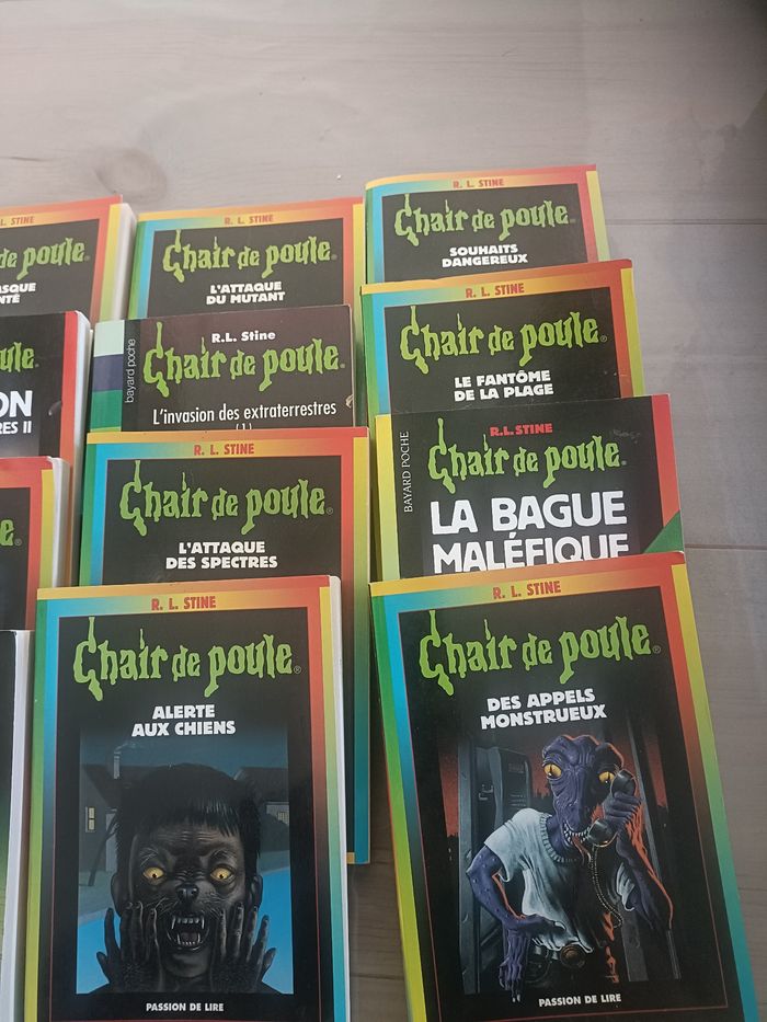 Livre chair de poule - photo numéro 4