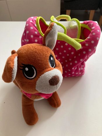 Petit chien et son panier/sac de transport rose