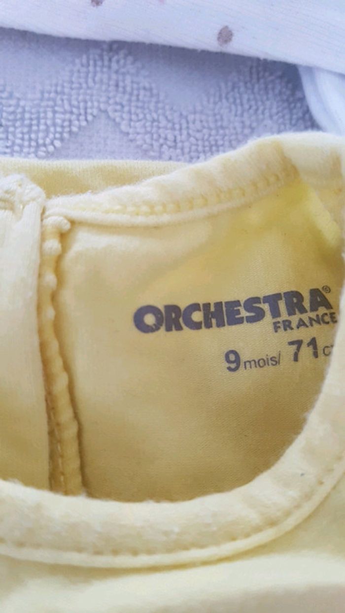 Lot bodys fille 9 mois - photo numéro 4