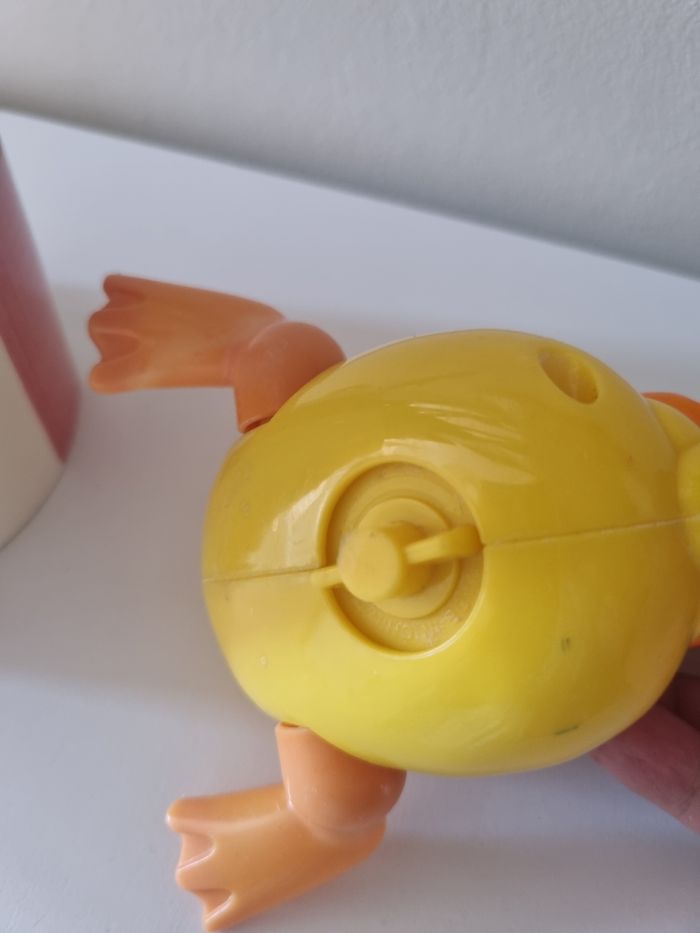 Canard - photo numéro 2