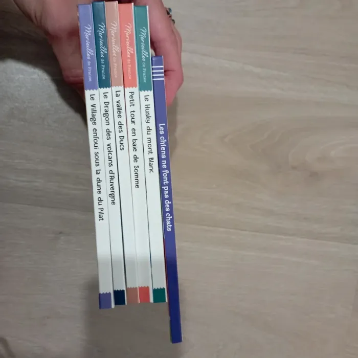 Lot de 6 livres Mc Donald's à 2 euros le lot / Mc Do / les merveilles de France - photo numéro 2