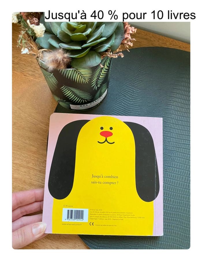 Livre enfant oeuf dix - photo numéro 6