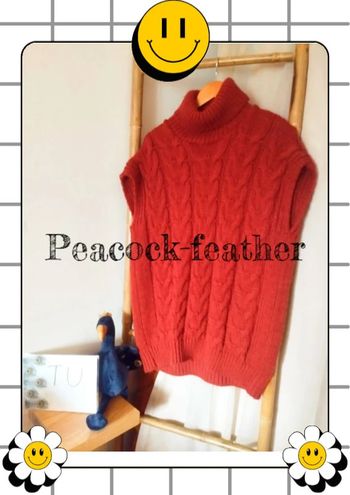 Pull col roulé terracotta TU