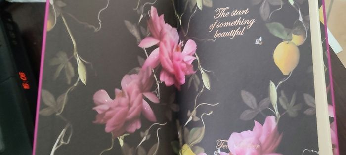Agenda notes ted Baker - photo numéro 4