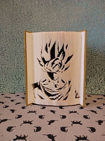 Livre Sangoku
