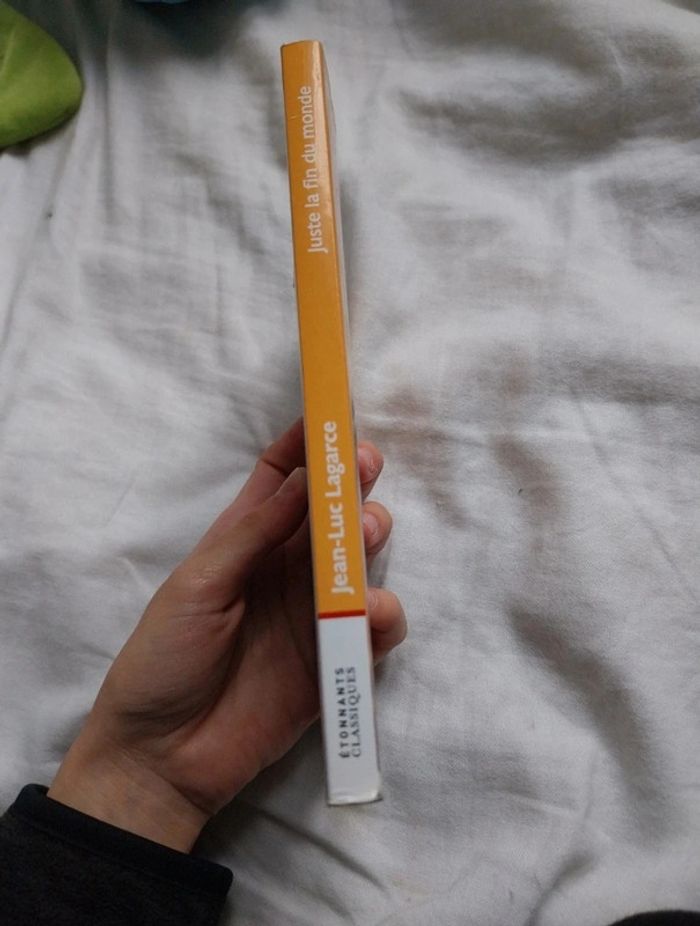 Juste la fin du monde - photo numéro 3