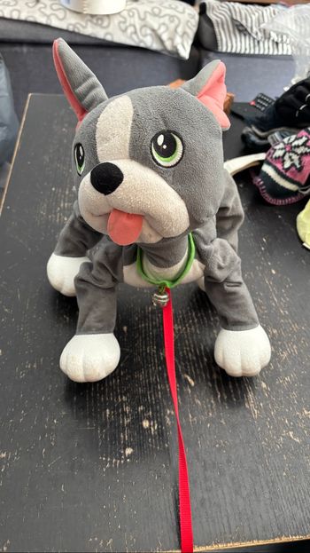 Toutou à promener