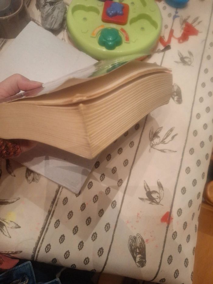 Le journal d'un vampire tome 2 - photo numéro 4