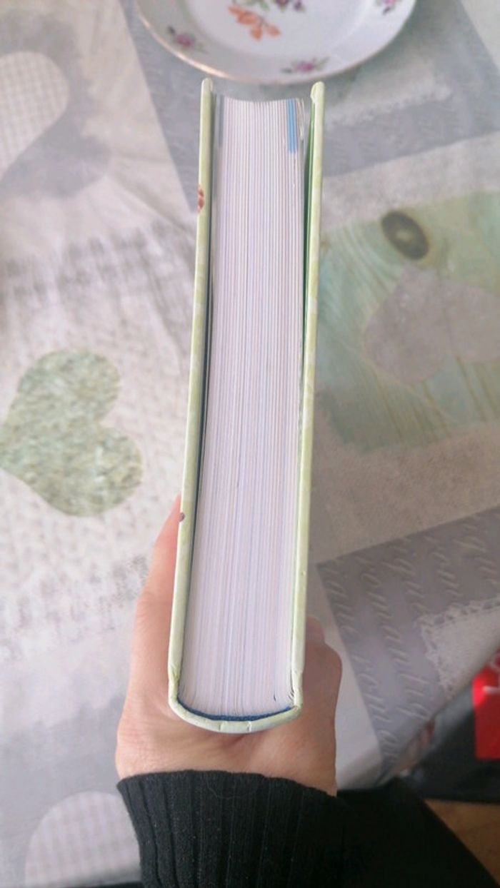 1001 remèdes maison Sélection Reader's Digest - photo numéro 14