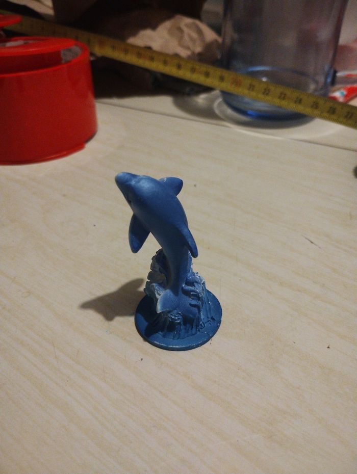 Petit dauphin - photo numéro 2