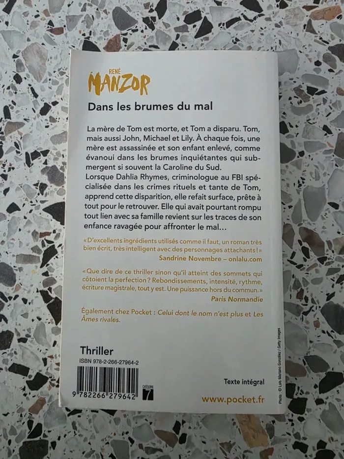 Dans les brumes du mal - photo numéro 2