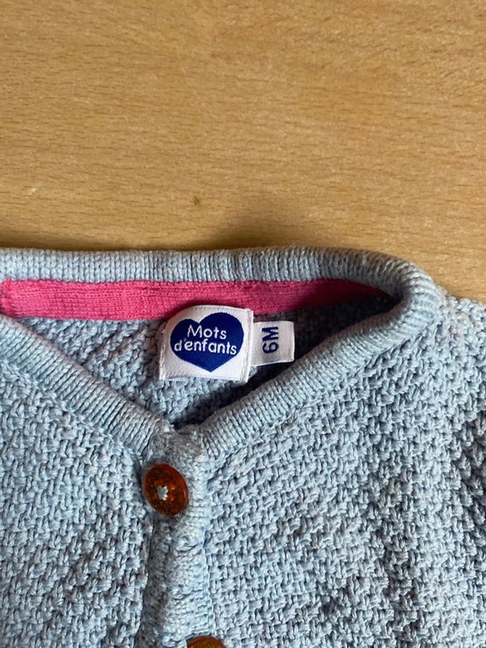 Gilet bleu - photo numéro 2