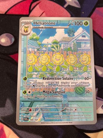 Heliatronc mascarade crépusculaire