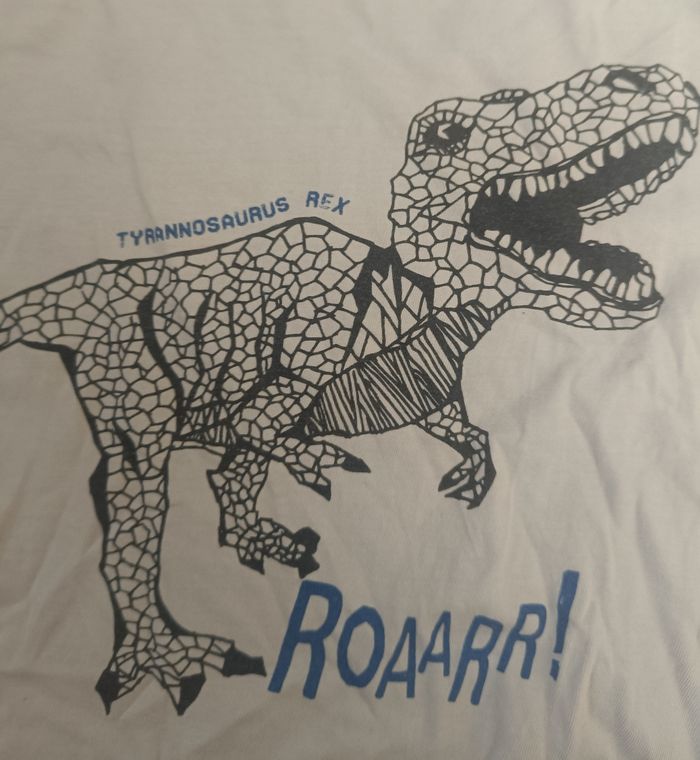 T-shirt in extenso - photo numéro 3