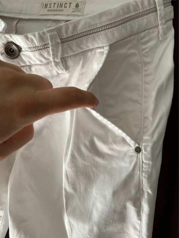 Chino Bonobo - photo numéro 5