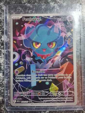 Carte de Pokémon français 