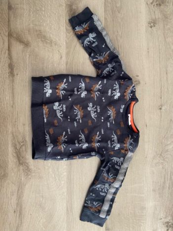Pull Dinosaur