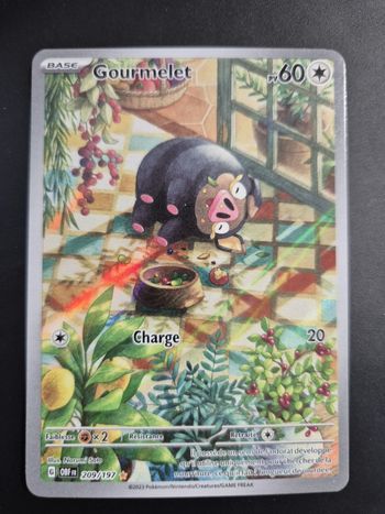 Gourmelet 209 OBF FR