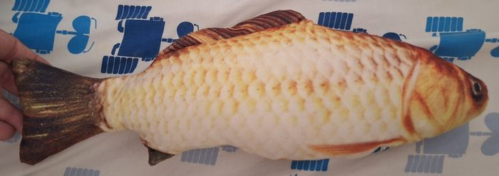 Peluche réaliste poisson - photo numéro 2