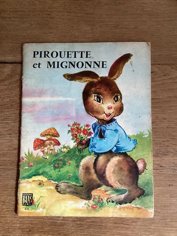 Livre « pirouette et mignonne »