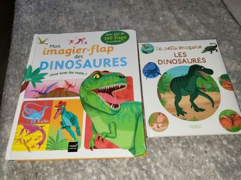 Lot livres dinosaires