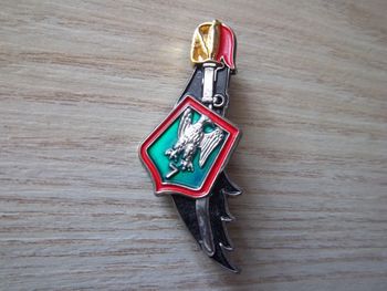 insigne 7éme régiment chasseur arme blindée cavalerie