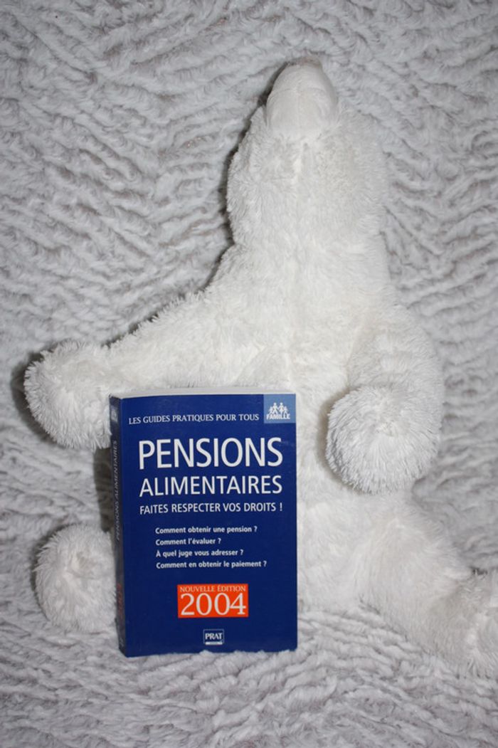 Pensions alimentaires ; faire respecter ces droits - photo numéro 2