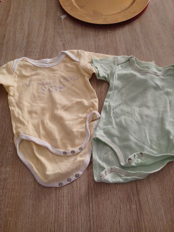 Lot 2 bodies 12 mois