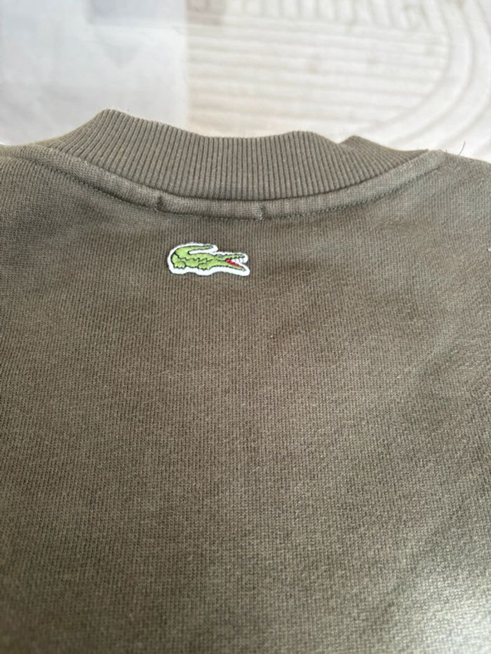 Pull Lacoste - photo numéro 8