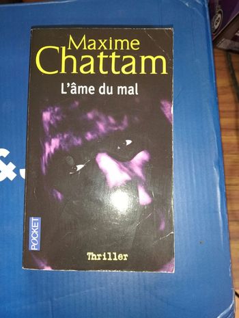 Maxime Chattam, L'âme du mal 