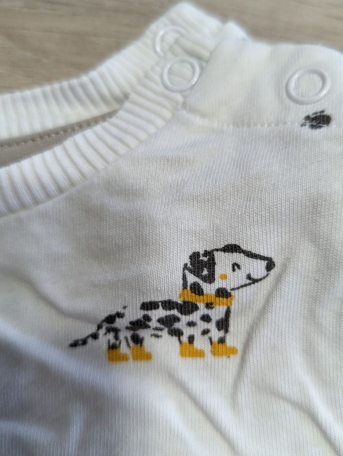 T-shirt tex - photo numéro 2