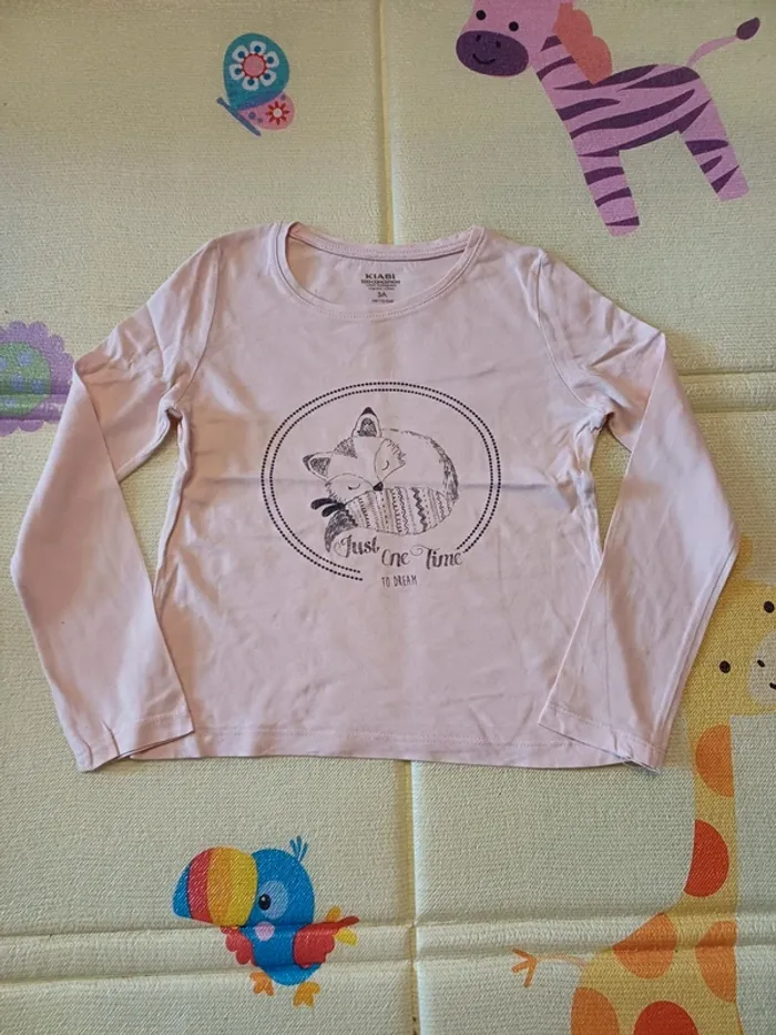 Lot 6 t-shirt manches longues 5 ans - photo numéro 6