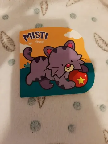 Livre Misti le chat neuf