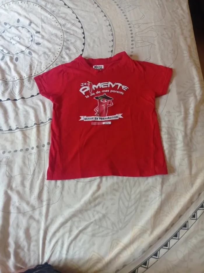 Tee-shirt humour Pays Basque