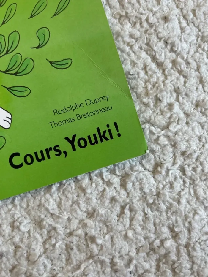 Cours, Youki - photo numéro 2