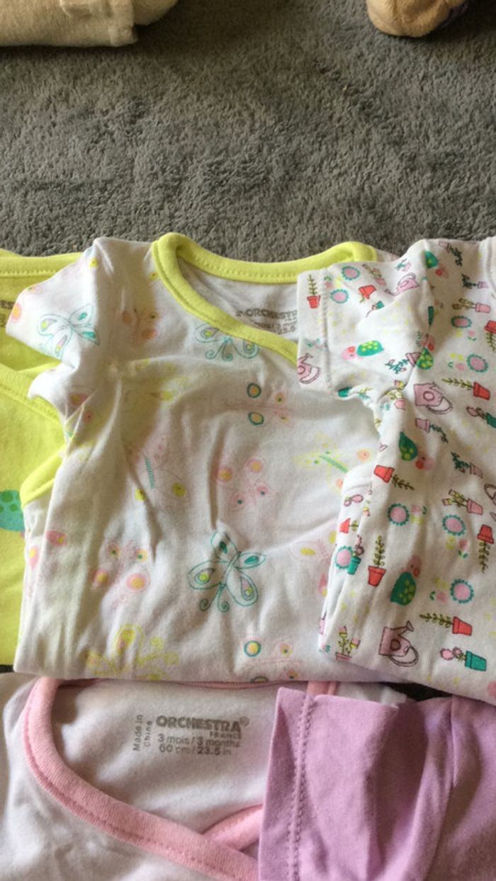 Lot 7 bodies - photo numéro 6