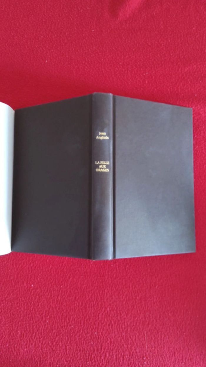 La fille aux orages - photo numéro 6
