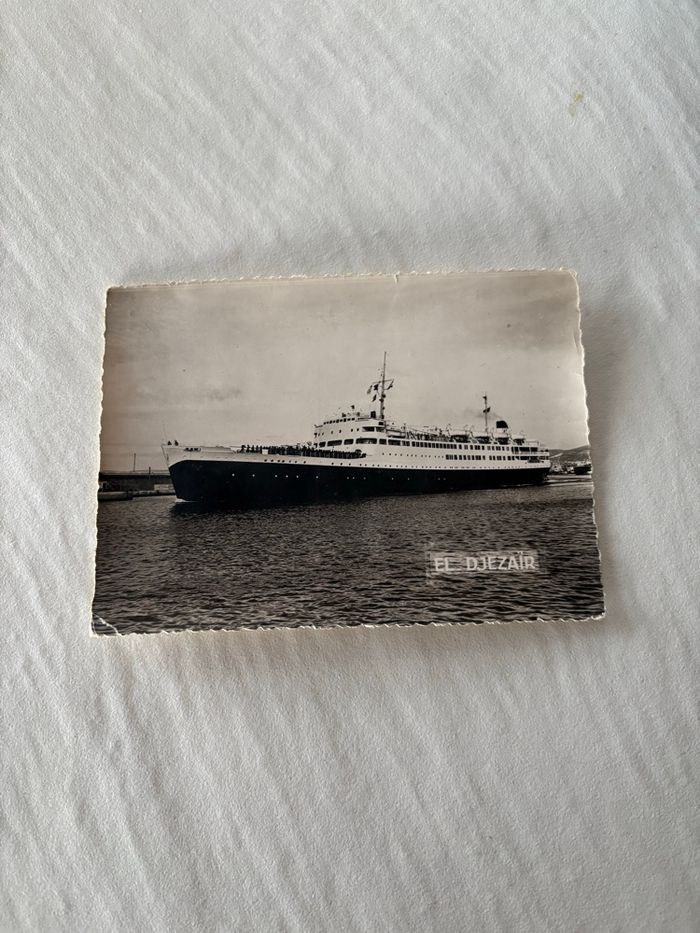 Carte postale vintage Alger