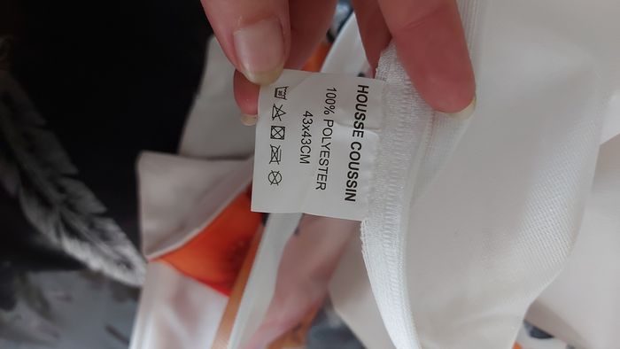 Housses de coussins - photo numéro 3