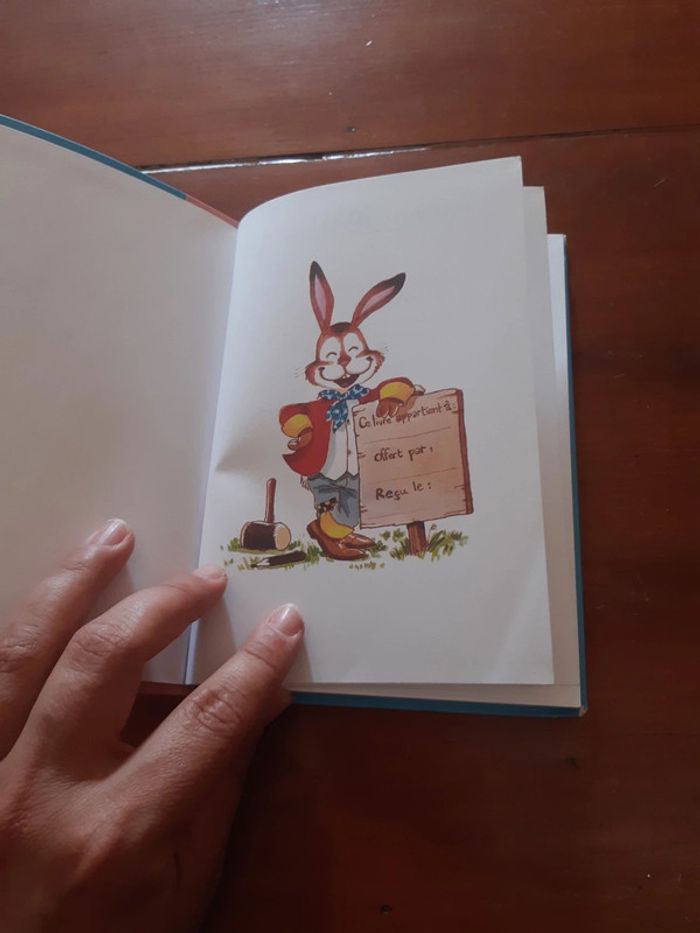 Livre enfants jojo lapin fait des farces - photo numéro 3