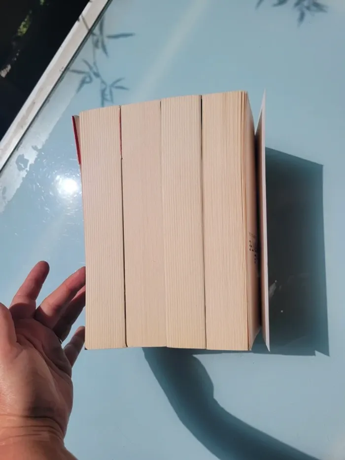 4 Premier romans grands formats de la saga Le Labyrinthe : Livres 1, 2, 3 et 4 - photo numéro 5
