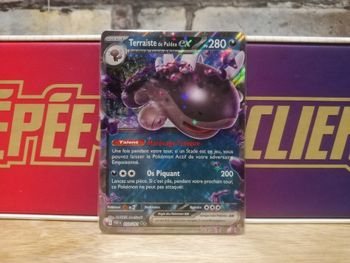 Carte Pokemon Terraiste EX 059/091