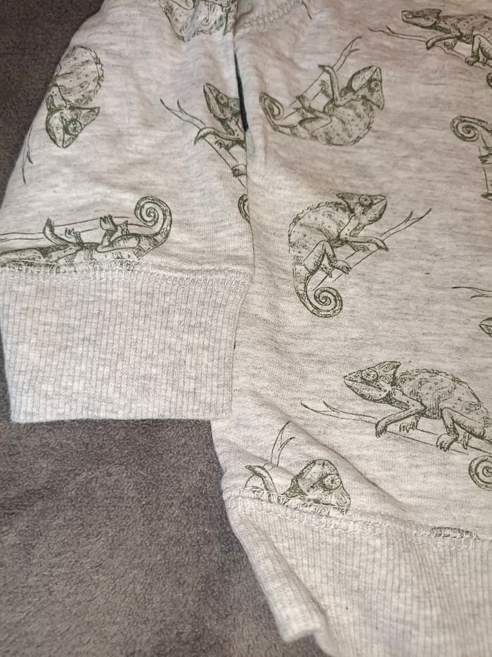 Pull - Caméléon - photo numéro 4