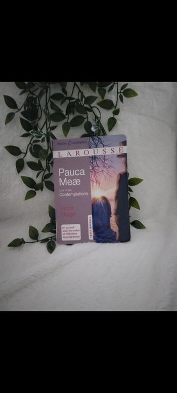 🌸Livre Pauca Meae de Victor Hugo 🌸