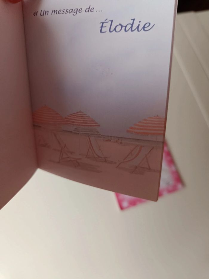 Carnet personnalisé Elodie idée cadeau anniversaire - photo numéro 3