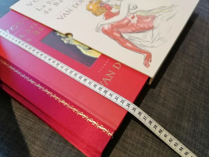 La princesse de babylone en coffret - photo numéro 8