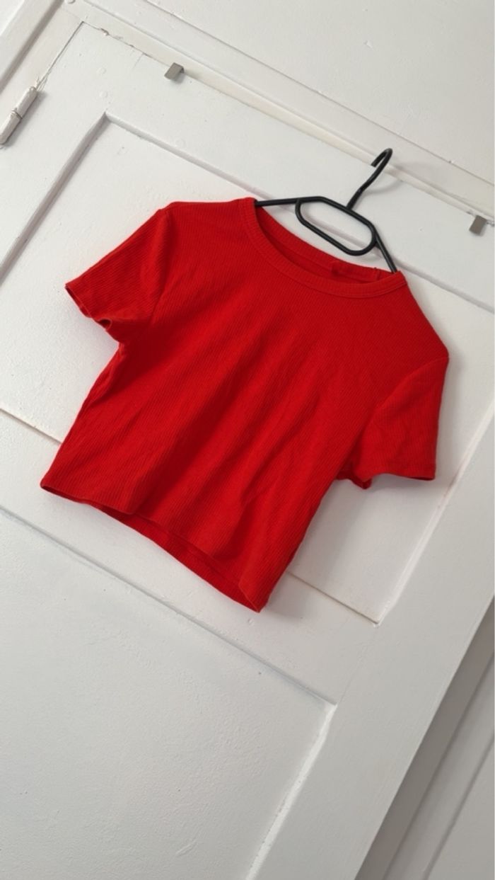 Top court - photo numéro 2