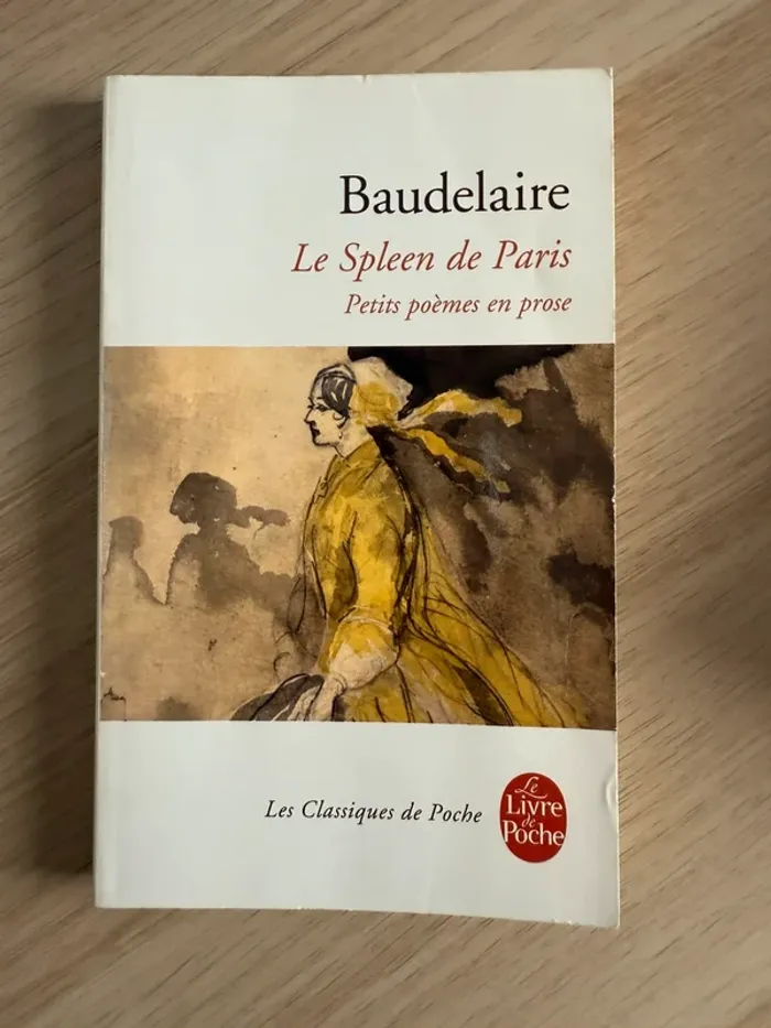 Baudelaire le spleen de Paris