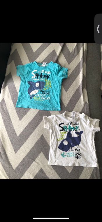 Le lot de 2 t shirt taille 12 mois 